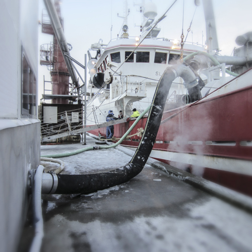 TripleNine-Boat-Harbor.jpg