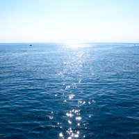 TripleNine-Sea-Horizon.jpg (1)