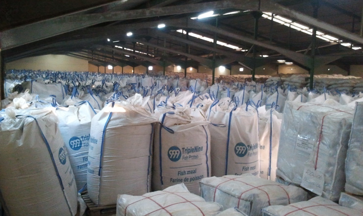 Triplenine-Fishmeal-1.jpg