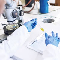 TripleNine-Lab.jpg
