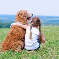 TripleNine-Dog-Girl.jpg