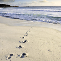 Footprints in sand.jpg