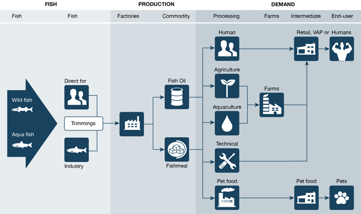 Value Chain.png