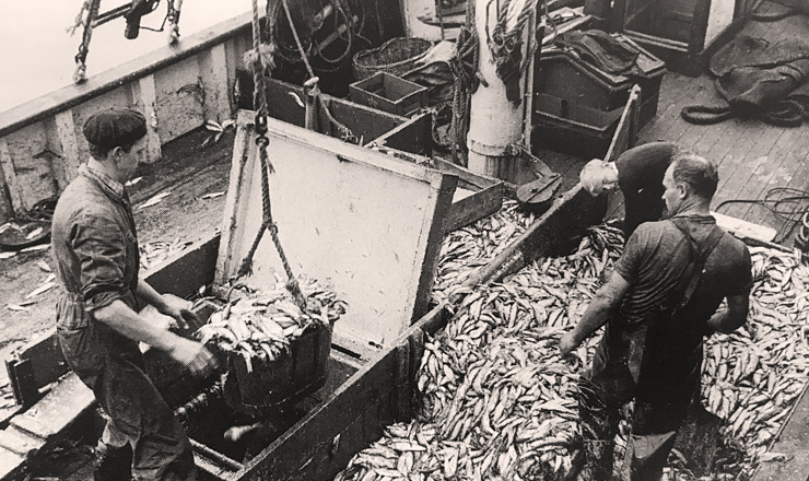 TripleNine-1952.jpg