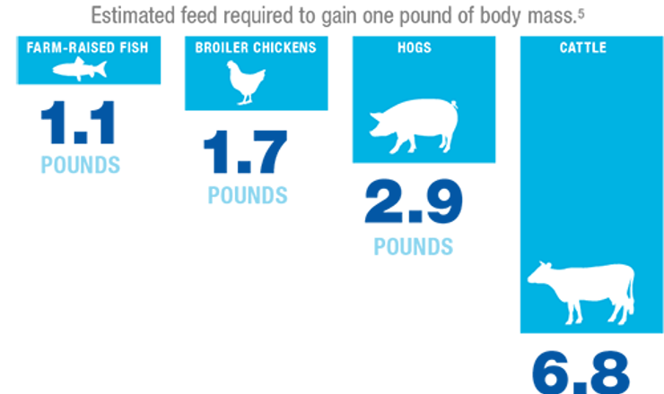 GAA-Food-Supply-Infographic-Feed-Conversion-Ratio.png