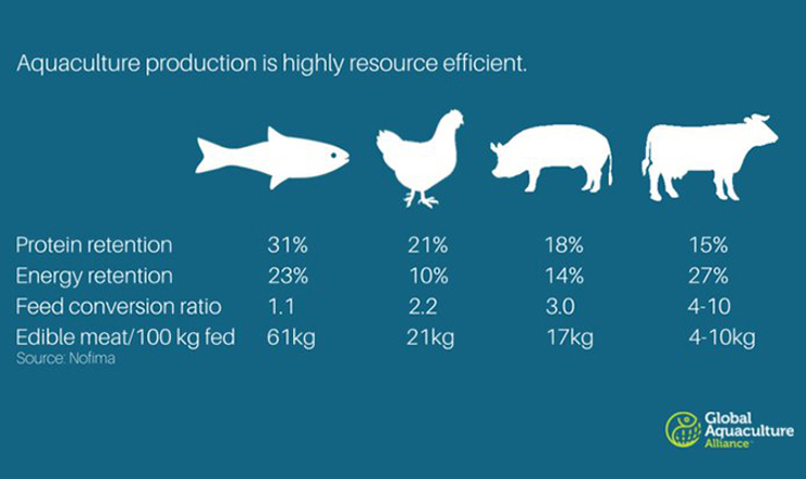 Aquaculture_resourceeffektivt.jpg