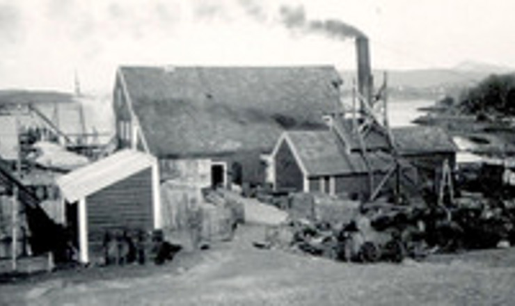 Vedde_historie_220x119.jpg