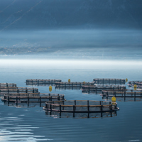 aquaculture-1.jpg