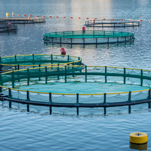 aquaculture-2.jpg