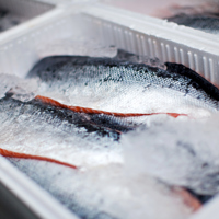 fish-packing-1.jpg