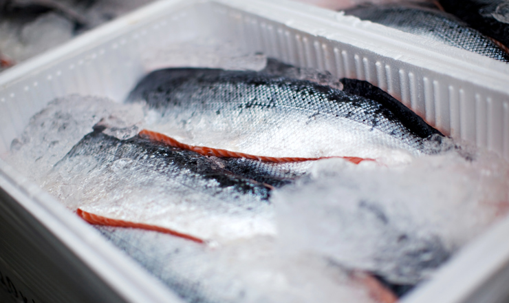 fish-packing-1.jpg