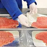 fish-packing-6.jpg