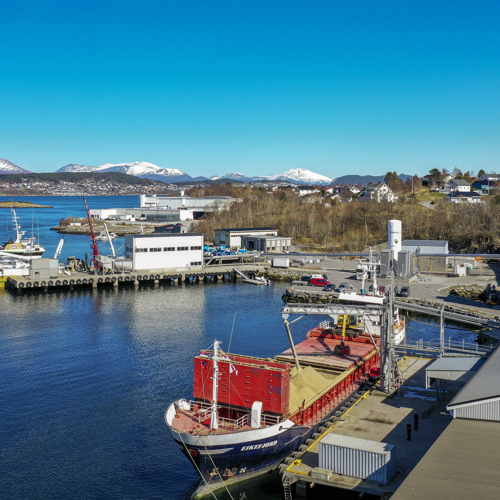 TripleNine Vedde-1.jpg